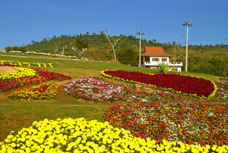 ศูนย์พัฒนาคุณภาพชีวิตผู้สูงอายุ อ.วังน้ำเขียว จ.นครราชสีมา